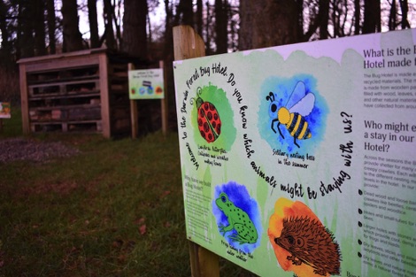 Darwin Forest bug hotel